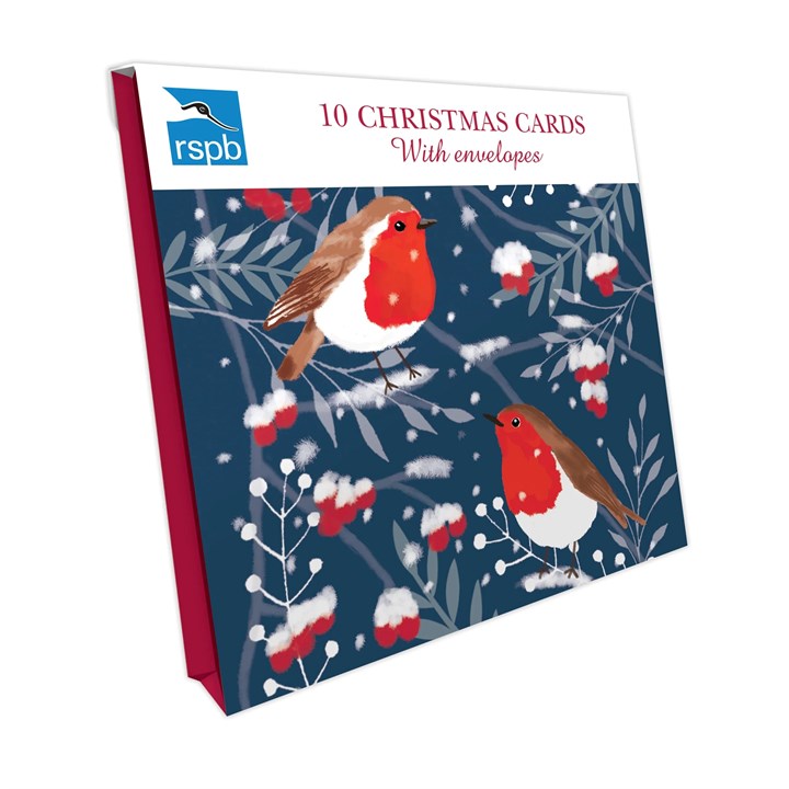 RSPB, Robin & Berries, 10 Christmas Cards