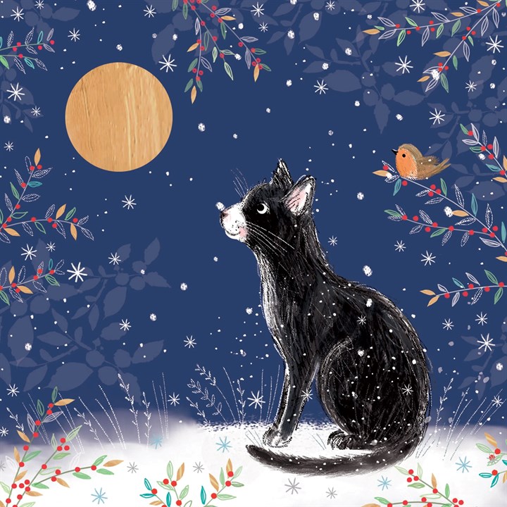 Festive Cat Moon Gazing, 10 Christmas Cards