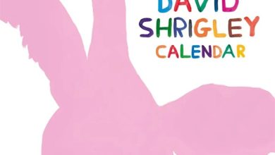 David Shrigley Calendar 2027