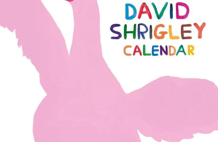 David Shrigley Calendar 2027