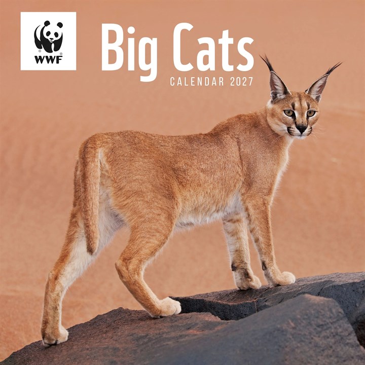 WWF, Big Cats Calendar 2027