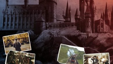 Harry Potter Family Organiser 2027