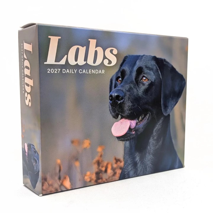 Labrador Retrievers Desk Calendar 2027