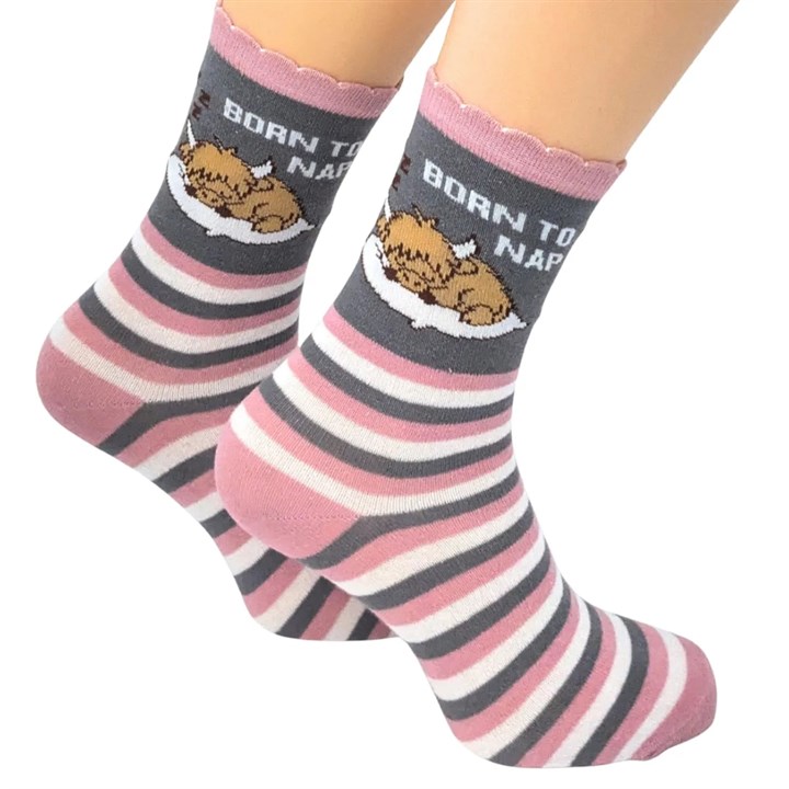 Born to Nap Socks – Size 4 – 8
