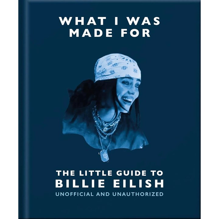 Little Guide To Billie Eilish