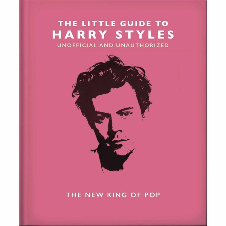 Little Guide To Harry Styles
