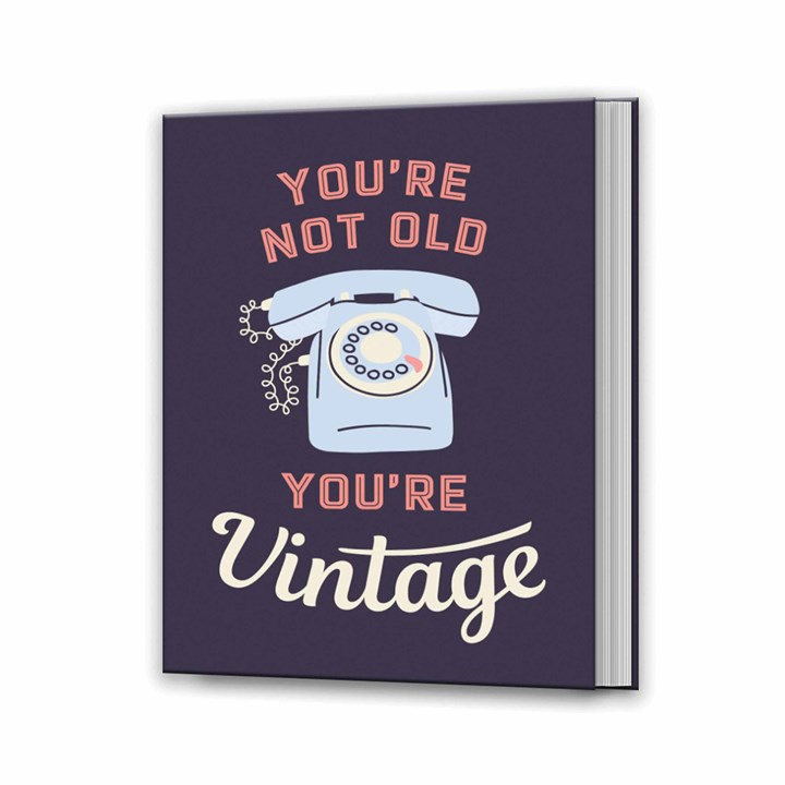 You're Not Old, You're Vintage Book