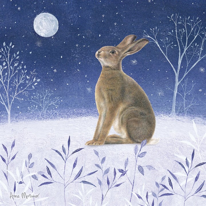 Festive Midnight Hare, 10 Christmas Cards