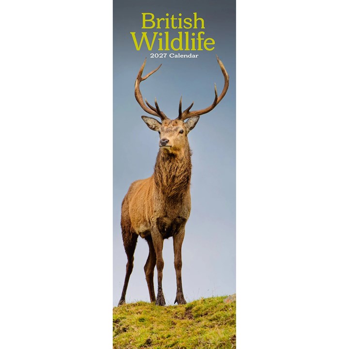 British Wildlife Slim Calendar 2027