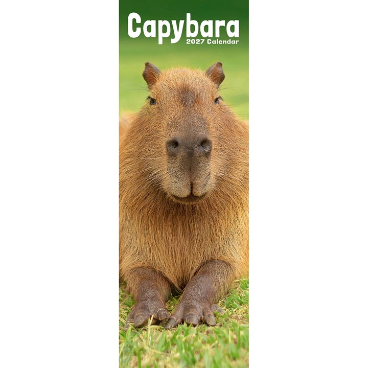 Capybara Slim Calendar 2027