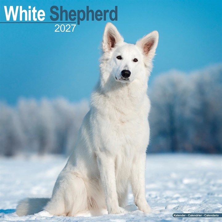 White Shepherd Calendar 2027