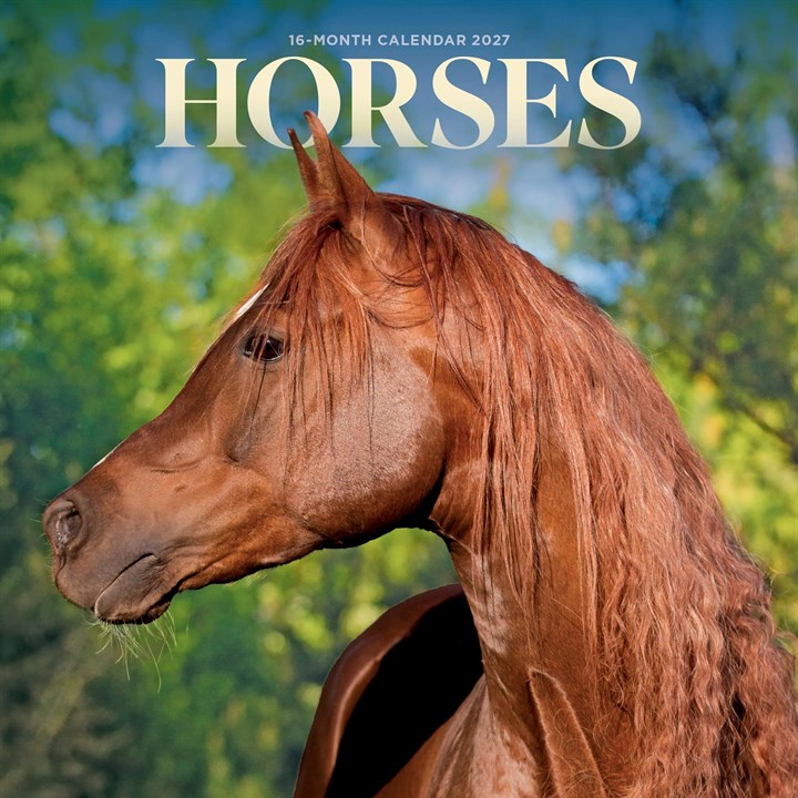 Horses Mini Calendar 2027