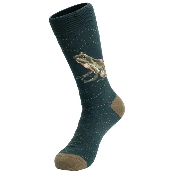 Wrendale Designs, Happy Frog Socks - Size 7 - 11